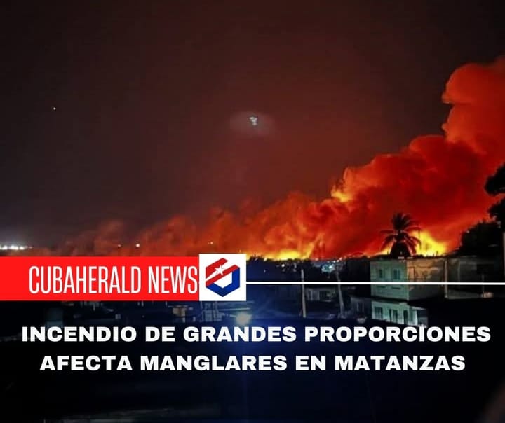 Incendio de grandes proporciones afecta manglares en Matanzas