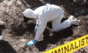 Investigador forense trabajando en escena del crimen