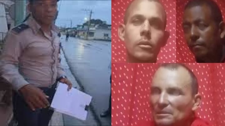 Tres detenidos en Ciego de Ávila tras asalto violento para robar cerdos en una finca privada