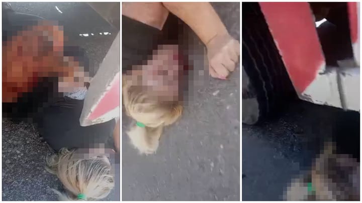 Tragedia en Centro Habana: mujer pierde la vida tras ser arrollada por un camión en una transitada intersección