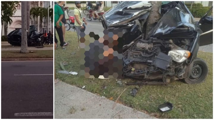 Coche negro chocado contra árbol en calle concurrida.